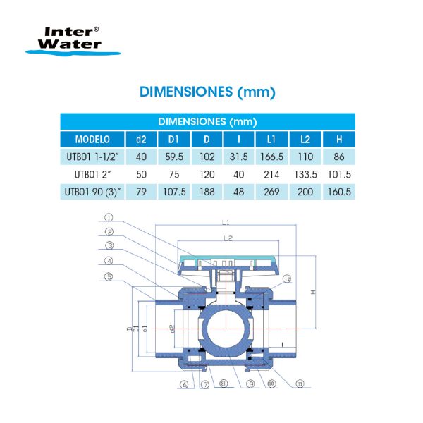Válvula Bola de PVC Doble Tuerca Unión - Inter Water - Imagen 3